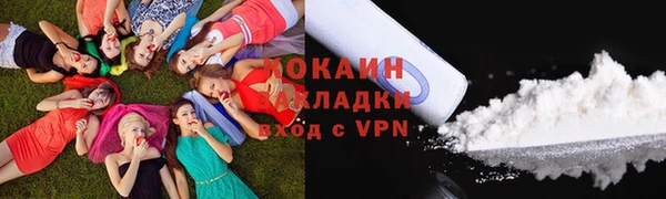 альфа пвп Бородино